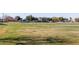 Spacious green area perfect for recreation at 758 S Lagoon Dr, Gilbert, AZ 85233