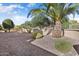 Landscaped backyard with gravel and drought-tolerant plants at 13036 W Fetlock Trl, Peoria, AZ 85383