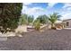 Landscaped backyard with gravel and drought-tolerant plants at 13036 W Fetlock Trl, Peoria, AZ 85383