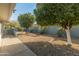 Landscaped backyard featuring mature trees and gravel at 14413 W Sky Hawk Dr, Sun City West, AZ 85375