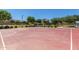 Community basketball court surrounded by mature shade trees and lush green grass at 20562 E Raven Dr, Queen Creek, AZ 85142