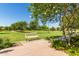 Serene park setting with a comfortable bench surrounded by lush greenery and blossoming trees at 20562 E Raven Dr, Queen Creek, AZ 85142