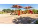 Community playground featuring slides, shade structures, and a covered picnic area for Gathering fun at 20562 E Raven Dr, Queen Creek, AZ 85142
