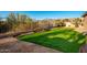 Artificial turf backyard with putting green and mountain views at 4112 S Prairie Zinnia Dr, Gold Canyon, AZ 85118