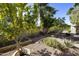 Lush backyard garden featuring gravel, mature citrus trees, and beautiful desert foliage at 4615 W Corral Rd, Laveen, AZ 85339
