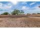 Large backyard with dirt and block wall at 6537 W Riva Rd, Phoenix, AZ 85043
