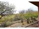 Landscaped backyard with gravel, cacti, and a sitting area at 17020 E Kiwanis Dr # 102, Fountain Hills, AZ 85268