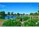 Beautiful pond with fountain, lush landscaping, and flowering plants at 17129 N Silver Path, Surprise, AZ 85374