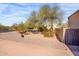 Front yard with gravel landscaping and mature trees at 4706 E Rancho Caliente Dr, Cave Creek, AZ 85331