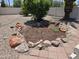 Landscaped backyard with desert plants and rock accents at 620 S Laveen Dr, Chandler, AZ 85226