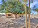 Large backyard with gravel, mature trees, and a partially visible shed at 6554 E Dallas St, Mesa, AZ 85205