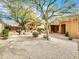 Landscaped backyard with desert plants and trees at 8494 E Gilded Perch Dr, Scottsdale, AZ 85255