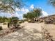 Walking path with mature trees and desert landscaping at 8494 E Gilded Perch Dr, Scottsdale, AZ 85255