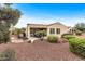 Beautiful backyard featuring desert landscaping, patio, and lounge area at 12942 W Sola Dr, Sun City West, AZ 85375
