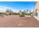 Large backyard with desert landscaping, offering a serene outdoor space with ample room for activities at 12942 W Sola Dr, Sun City West, AZ 85375