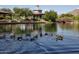 Ducks on a lake near a gazebo at 1780 W Morse Dr, Anthem, AZ 85086