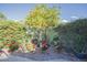 Landscaped garden with a mature orange tree and colorful flowers at 10533 W Wheatridge Dr, Sun City, AZ 85373