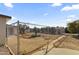 Large backyard with chain link fence and mature fruit trees at 11111 W Hollywood Ave, Youngtown, AZ 85363