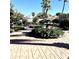 Backyard oasis with lush landscaping at 143 W Michelle Dr, Phoenix, AZ 85023