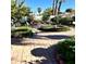 Landscaped backyard with a variety of plants and trees at 143 W Michelle Dr, Phoenix, AZ 85023