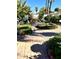 Landscaped backyard with lush plants and trees at 143 W Michelle Dr, Phoenix, AZ 85023