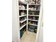 Well-organized pantry with ample shelving for storage at 143 W Michelle Dr, Phoenix, AZ 85023