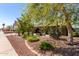 Well-maintained front yard featuring mature trees, desert landscaping, and a charming facade at 548 N 82Nd St, Mesa, AZ 85207