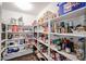 Well-stocked pantry with ample shelving for storage at 10405 W Patrick Ln, Peoria, AZ 85383