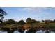 Serene lake view with lush landscaping and mature trees at 13162 W Duane Ln, Peoria, AZ 85383