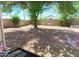 Spacious backyard featuring a stone landscape, mature trees, and a sturdy brick wall at 15306 W Eureka Trl, Surprise, AZ 85374