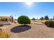 Landscaped backyard with a citrus tree at 21214 N 124Th Ave, Sun City West, AZ 85375