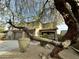 Two-story house with a large tree in front and a two-car garage at 2527 W Kit Carson Trl, Phoenix, AZ 85086