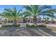 A beautiful house with mature palm trees and a gravel driveway at 2625 W Desert Hills Dr, Phoenix, AZ 85086