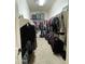 Walk-in closet with ample hanging space and shelving at 861 E Toledo St, Gilbert, AZ 85295