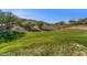 Expansive green area with mountain backdrop at 1113 E La Mirada Dr, Phoenix, AZ 85042