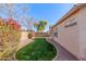 Landscaped backyard with a curved lawn at 3670 E Janelle Way, Gilbert, AZ 85298