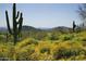 Scenic desert landscape with saguaro cacti and mountain views at 38300 N 102Nd St, Scottsdale, AZ 85262