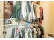 Spacious closet with ample hanging space and shelving at 9127 E Lynwood St, Mesa, AZ 85207