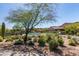 Relaxing community pool with lush landscaping at 14806 E Crested Crown --, Fountain Hills, AZ 85268