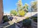 Landscaped backyard with mature trees and plants at 21209 N 40Th Ave, Glendale, AZ 85308