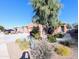 Landscaped front yard with mature trees and drought-tolerant plants at 21209 N 40Th Ave, Glendale, AZ 85308