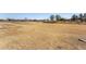 Large grassy area in a community park at 35834 W Cartegna Ln, Maricopa, AZ 85138