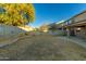 Backyard with stone wall and mature tree at 728 E Payton St, San Tan Valley, AZ 85140