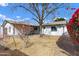 Expansive backyard featuring a large tree providing shade and mature bougainvillea at 1521 E Del Rio Dr, Tempe, AZ 85282