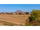 Farmland with distant mountain views and a construction vehicle at 3816 E Minton Pl, Mesa, AZ 85215