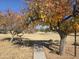 Landscaped park with mature trees and walking path at 4409 E Darrel Rd, Phoenix, AZ 85042