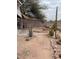 Landscaped backyard with desert plants and a decorative metal sculpture at 4943 S Las Mananitas Trl, Gold Canyon, AZ 85118