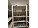 Well-organized pantry with ample shelving for storage at 14727 W Pasadena Ave, Litchfield Park, AZ 85340
