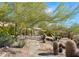 Xeriscaped path with cacti and native plants leading to entrance at 35035 N Whileaway Rd, Carefree, AZ 85377