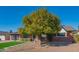 Charming mid-century home with a large front yard and a mature citrus tree at 8502 E Catalina Dr, Scottsdale, AZ 85251